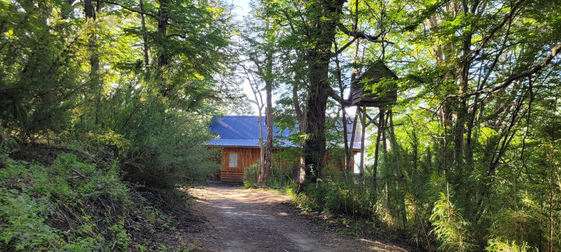 La casita del bosque